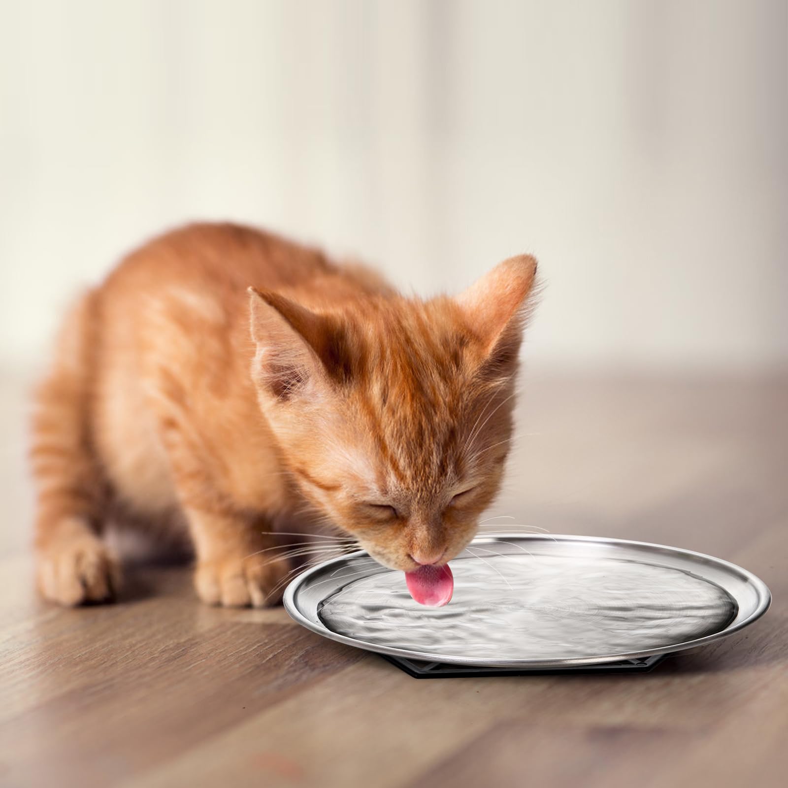Détail coin arrondi SOUJOY facilitant l'accès à la nourriture pour l'animal