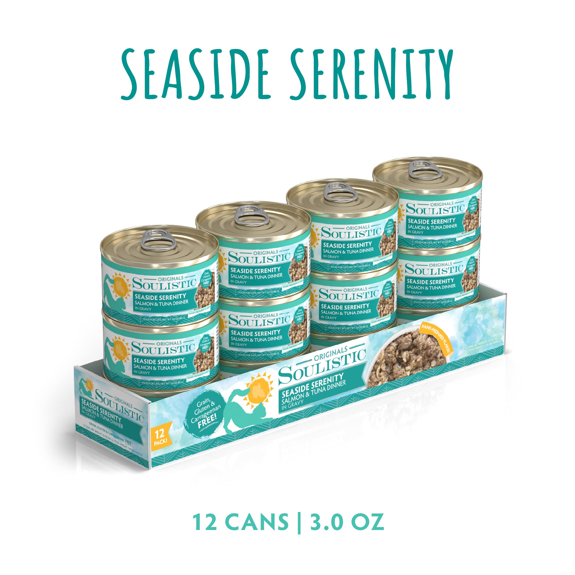 Soulistic texture montrant flocons de saumon et gravy pour hydratation