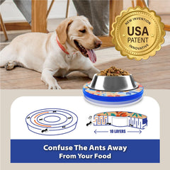 SoulThink plateau en usage avec chat garantissant alimentation sans insectes