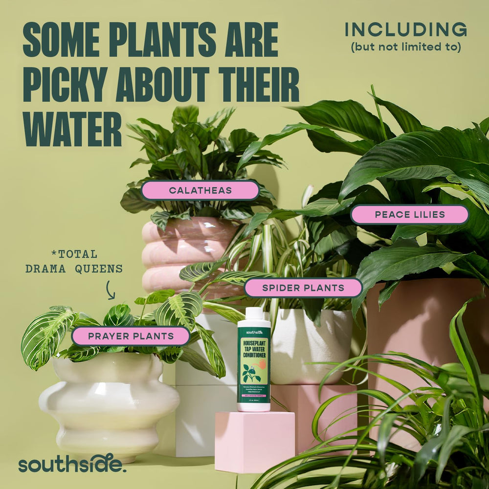 Southside Plants en usage pendant arrosage montrant eau sécurisée pour racines