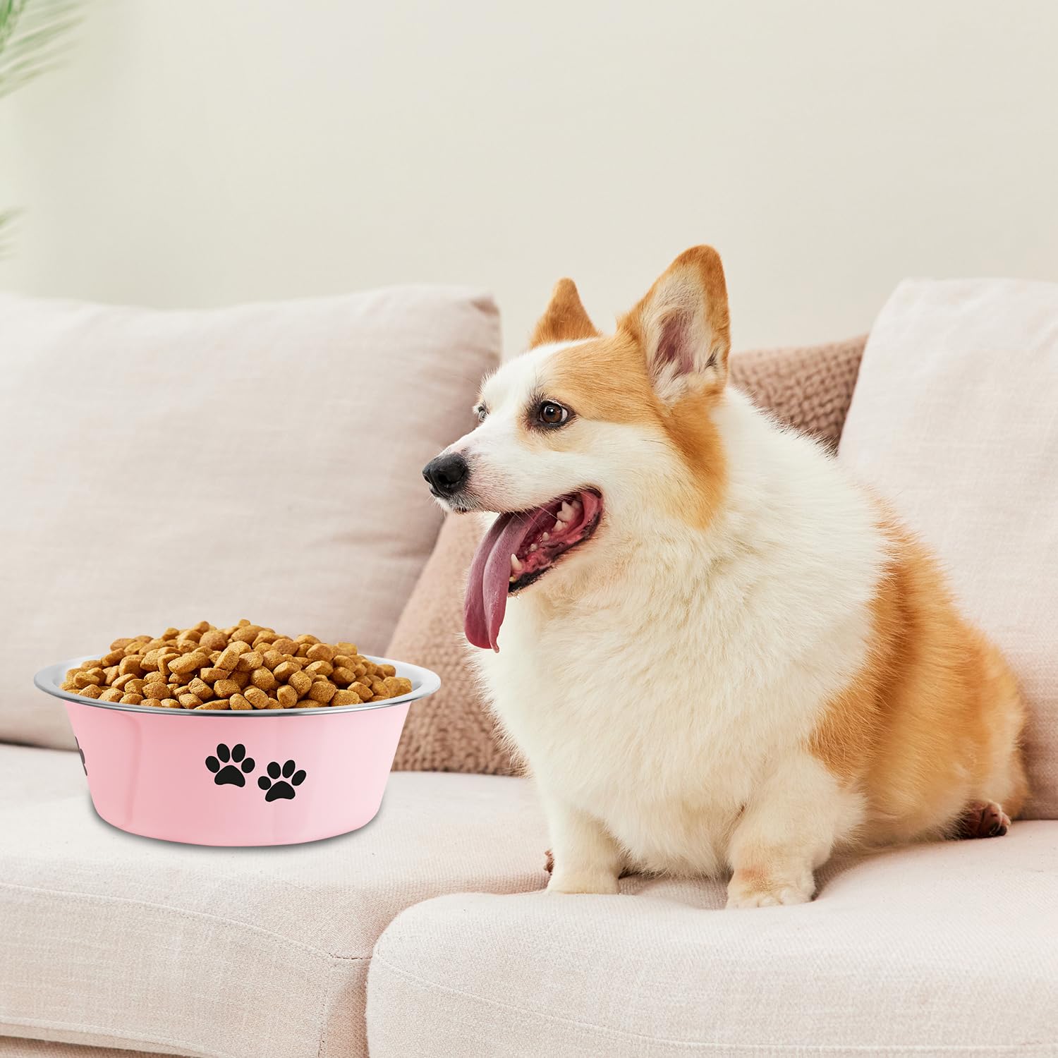 SOUXU comparaison taille montre capacité 53 oz pour petits chiens