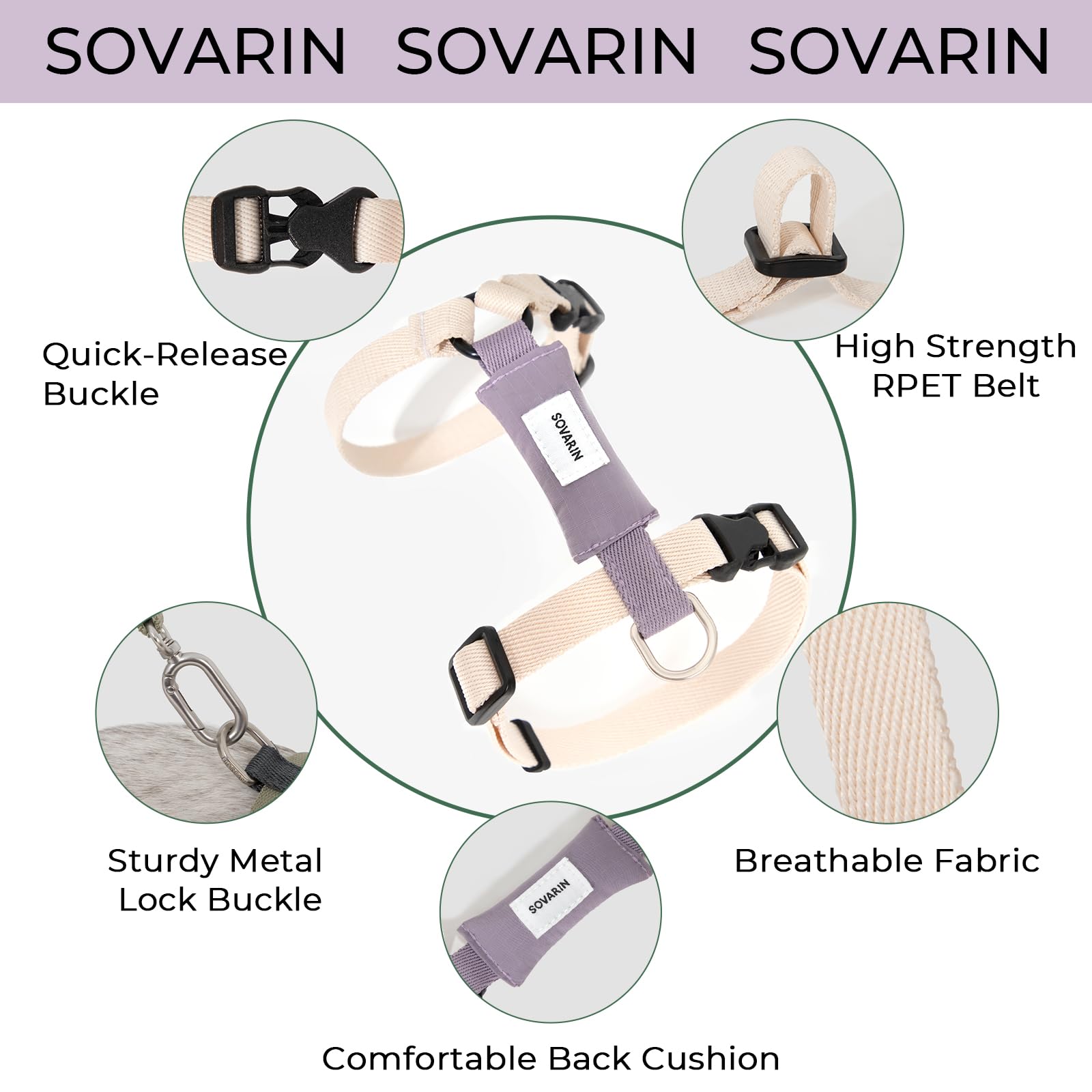 Sovarin chat en promenade montrant confort et contrôle sécurisé