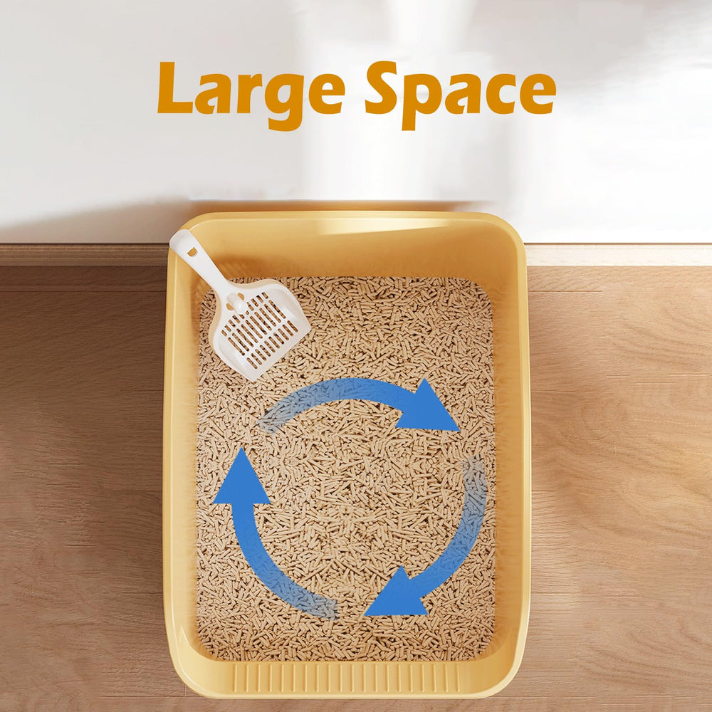 SpaceTime gros plan sur l'entrée basse facilitant l'accès pour chatons et seniors