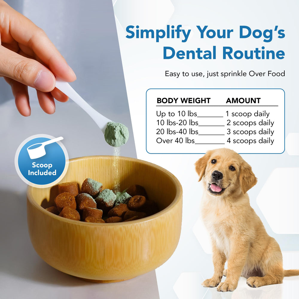Spanielbuns texture poudre gros plan, facilite l'application quotidienne
