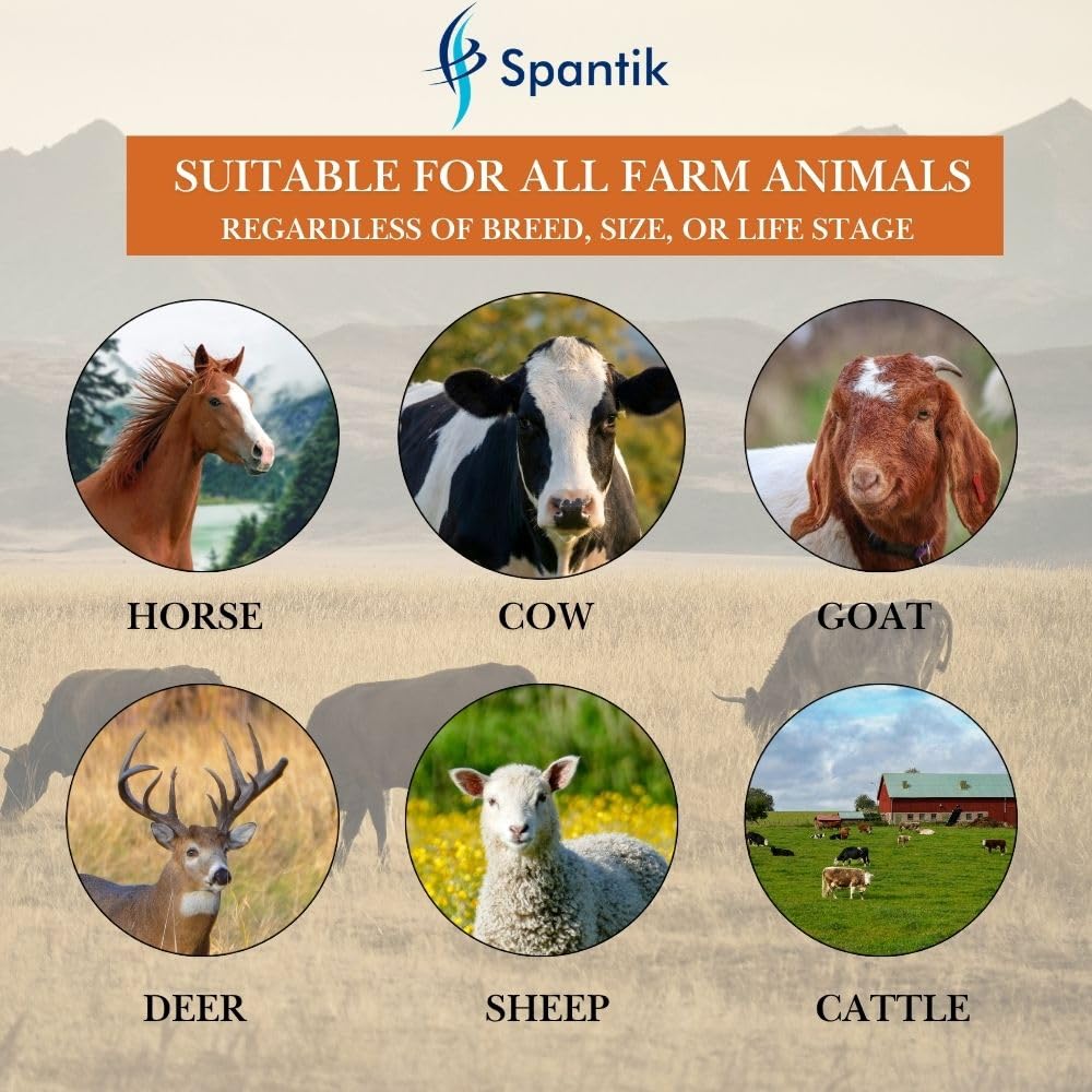 Étiquette Spantik montrant composition minérale pour transparence utilisateur
