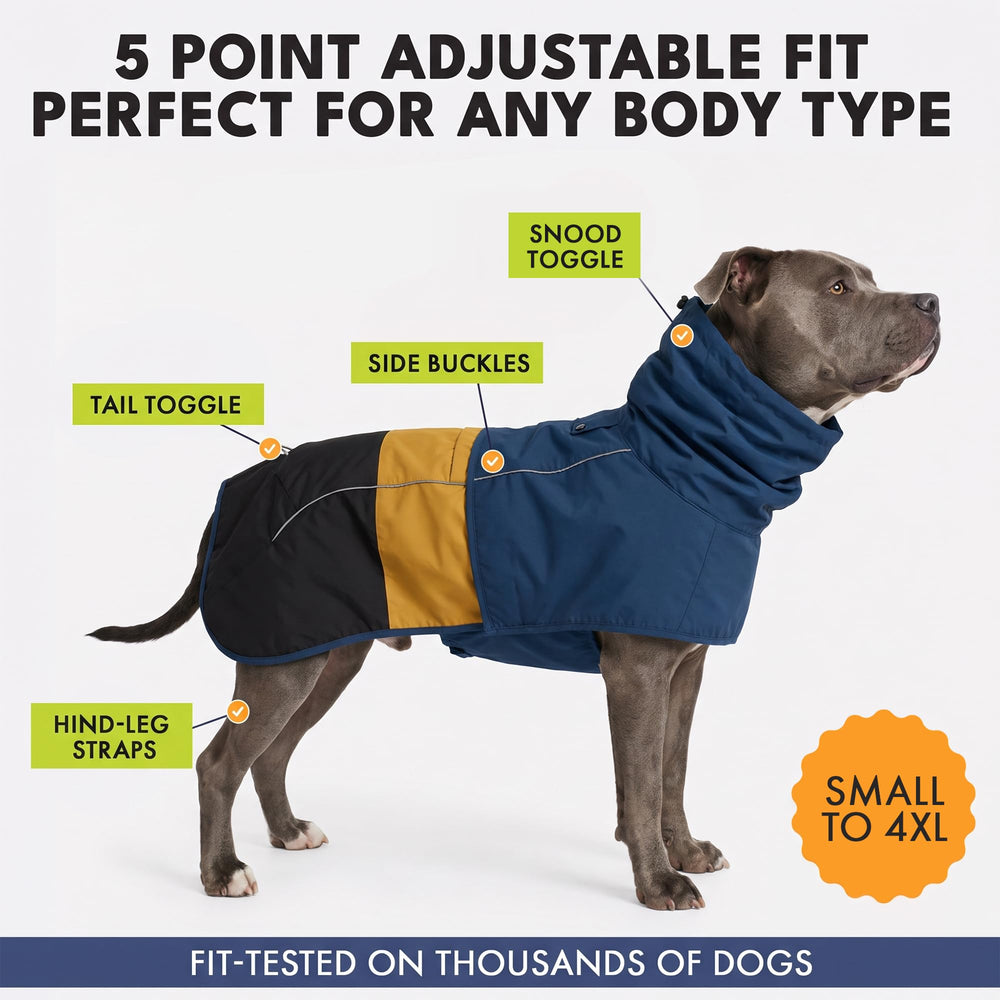 Spark Paws boucle latérale montrant mise en place rapide et sécurité