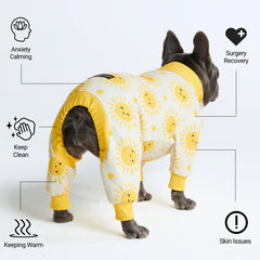 Spark Paws chien portant pyjama à la maison réduisant stress