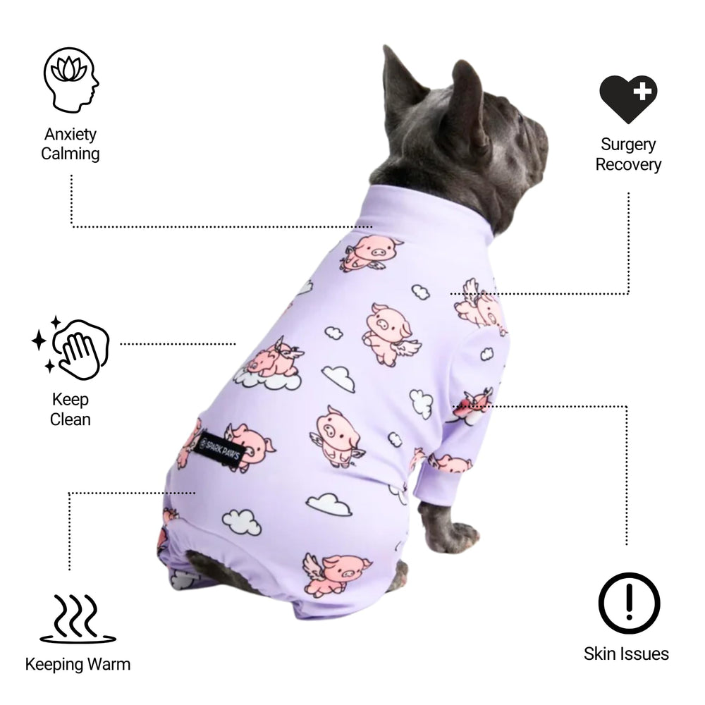 Spark Paws chien portant la combinaison illustrant mobilité et repos