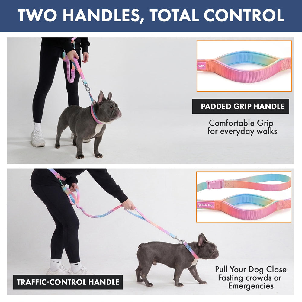 Spark Paws clip attaché à la boucle de ceinture de voiture pour un voyage plus sûr