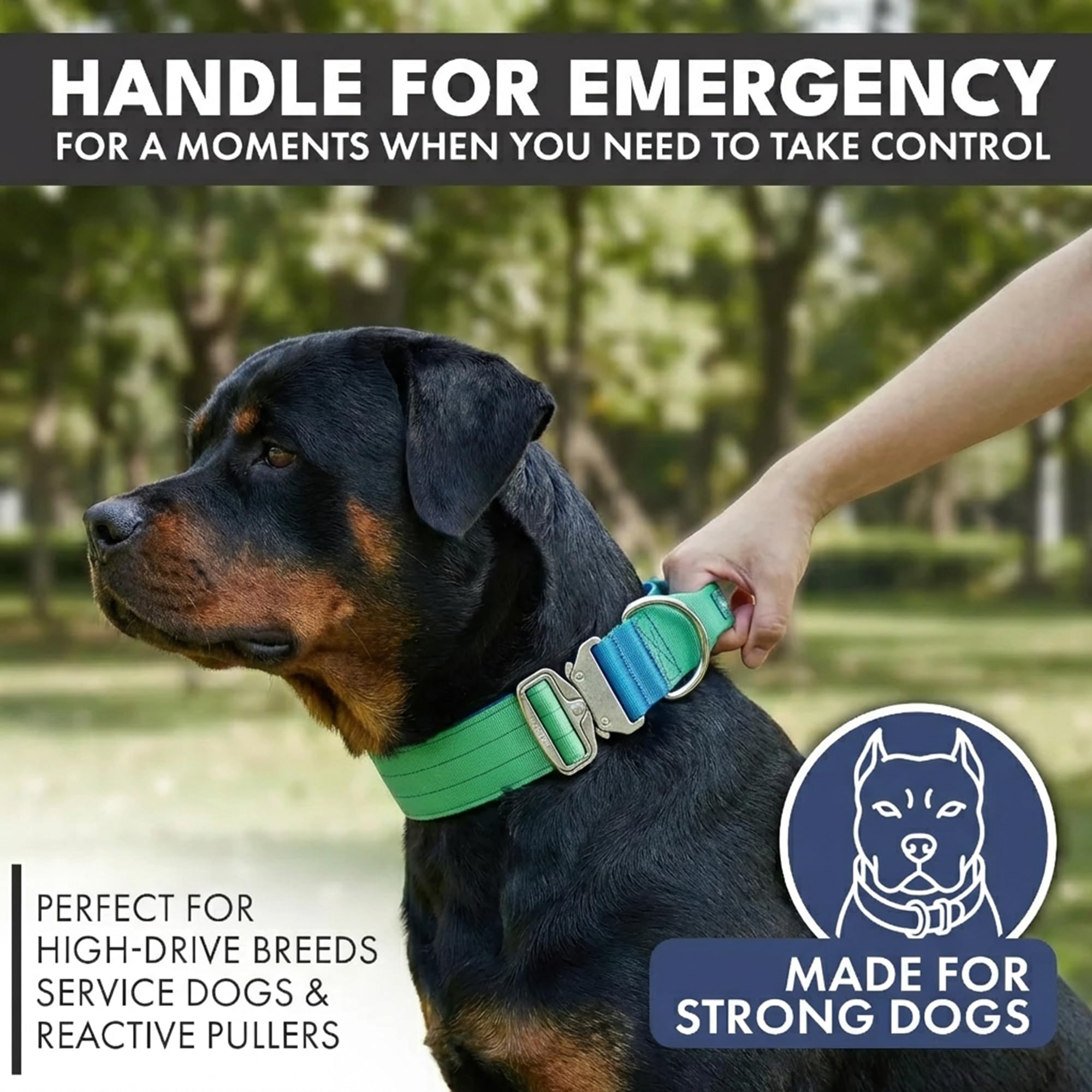 Spark Paws doublure néoprène montrant confort et protection cutanée