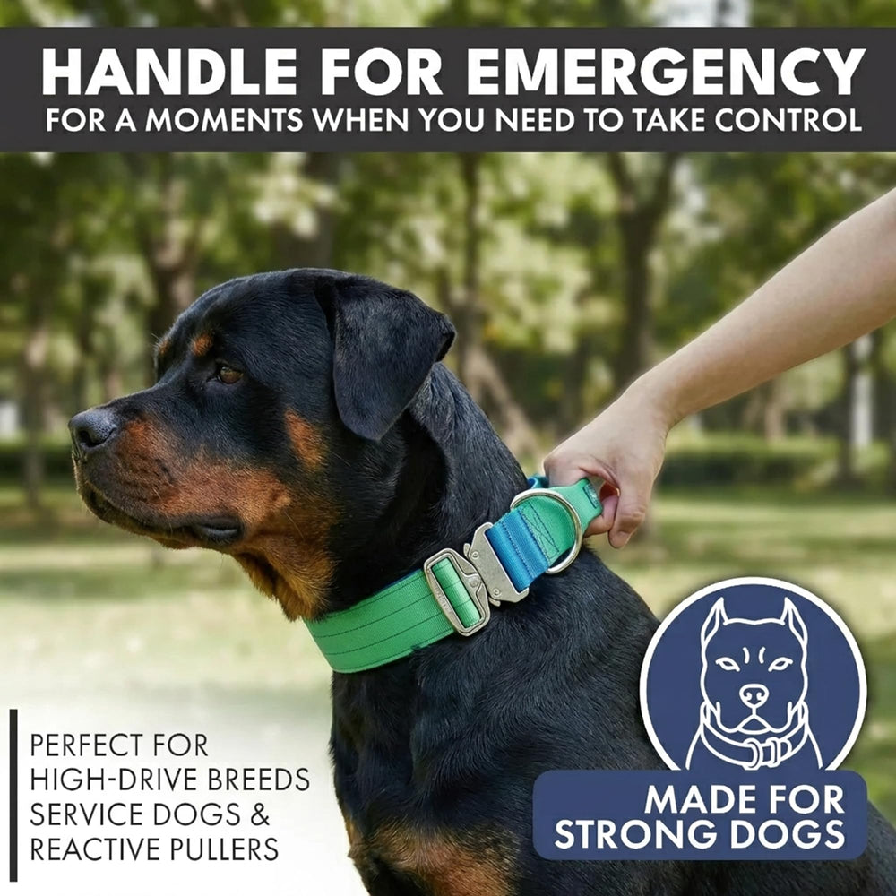 Spark Paws doublure néoprène montrant confort et protection cutanée