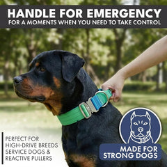 Spark Paws doublure néoprène montrant confort et protection cutanée