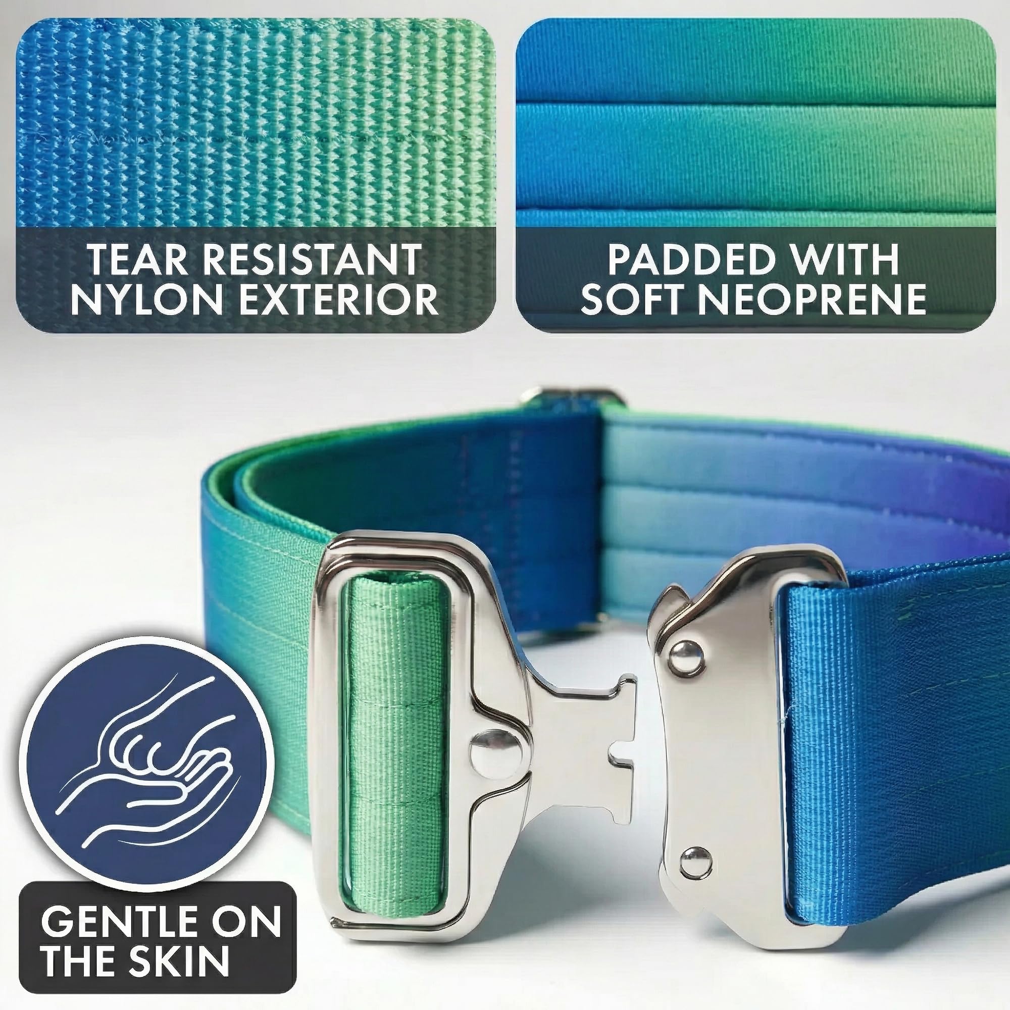 Spark Paws collier en usage pendant promenade pour gestion efficace