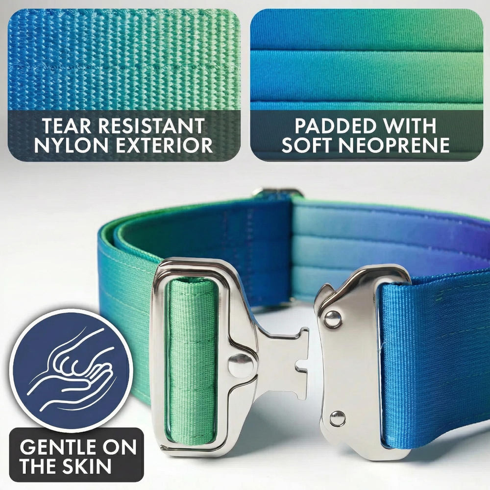 Spark Paws collier en usage pendant promenade pour gestion efficace