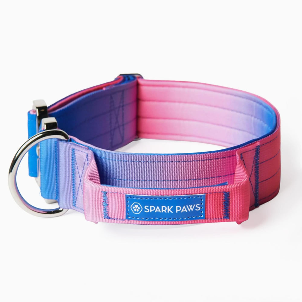 Spark Paws collier tactique face visible offrant sécurité et durabilité