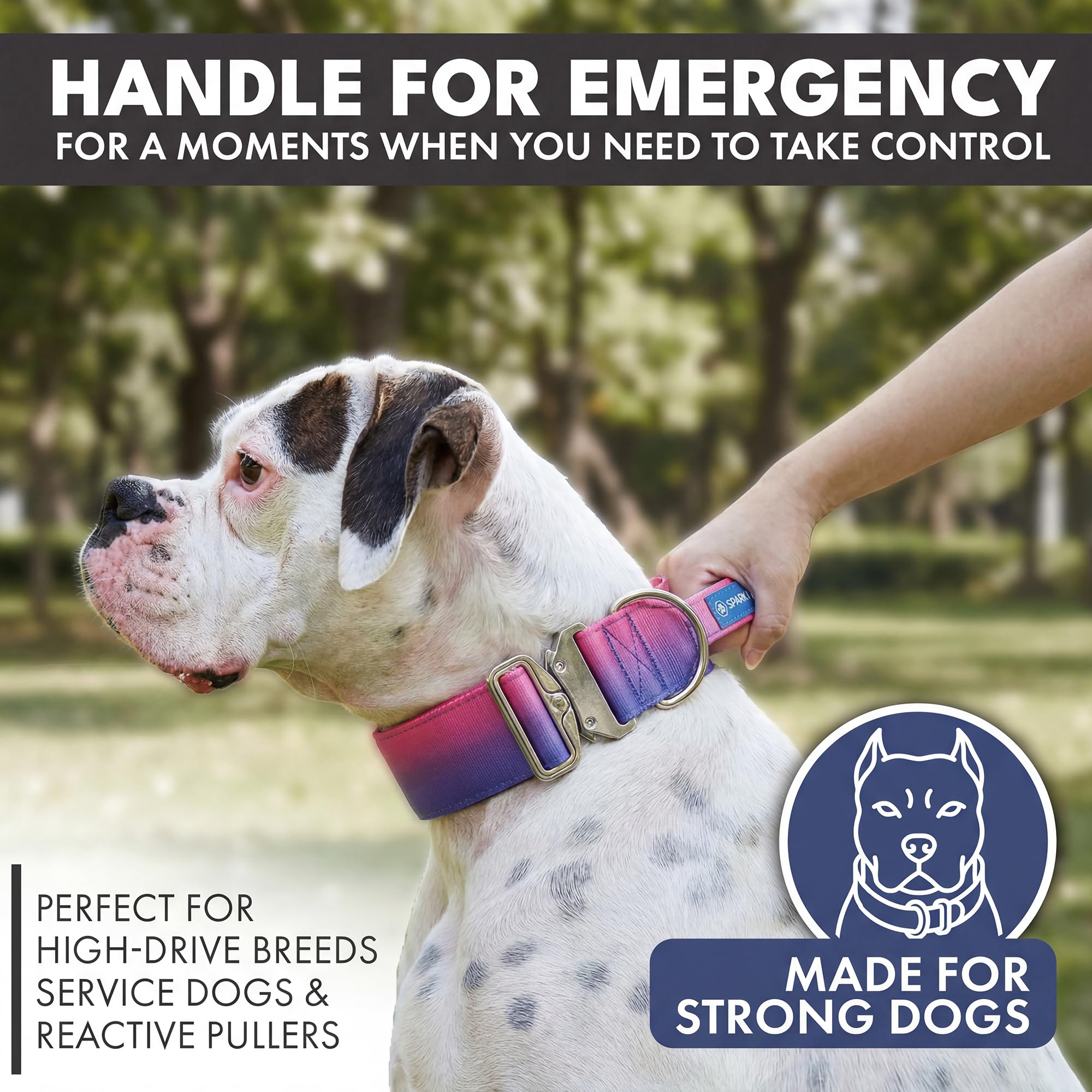 Spark Paws nylon premium et coutures renforcées montrant résistance