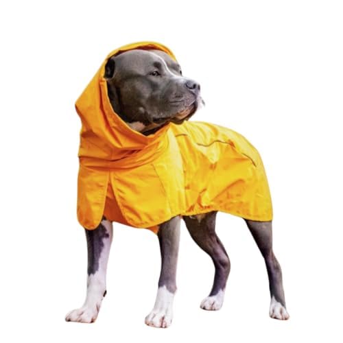 Spark Paws doublure en mesh Breatheshield, respirabilité et confort