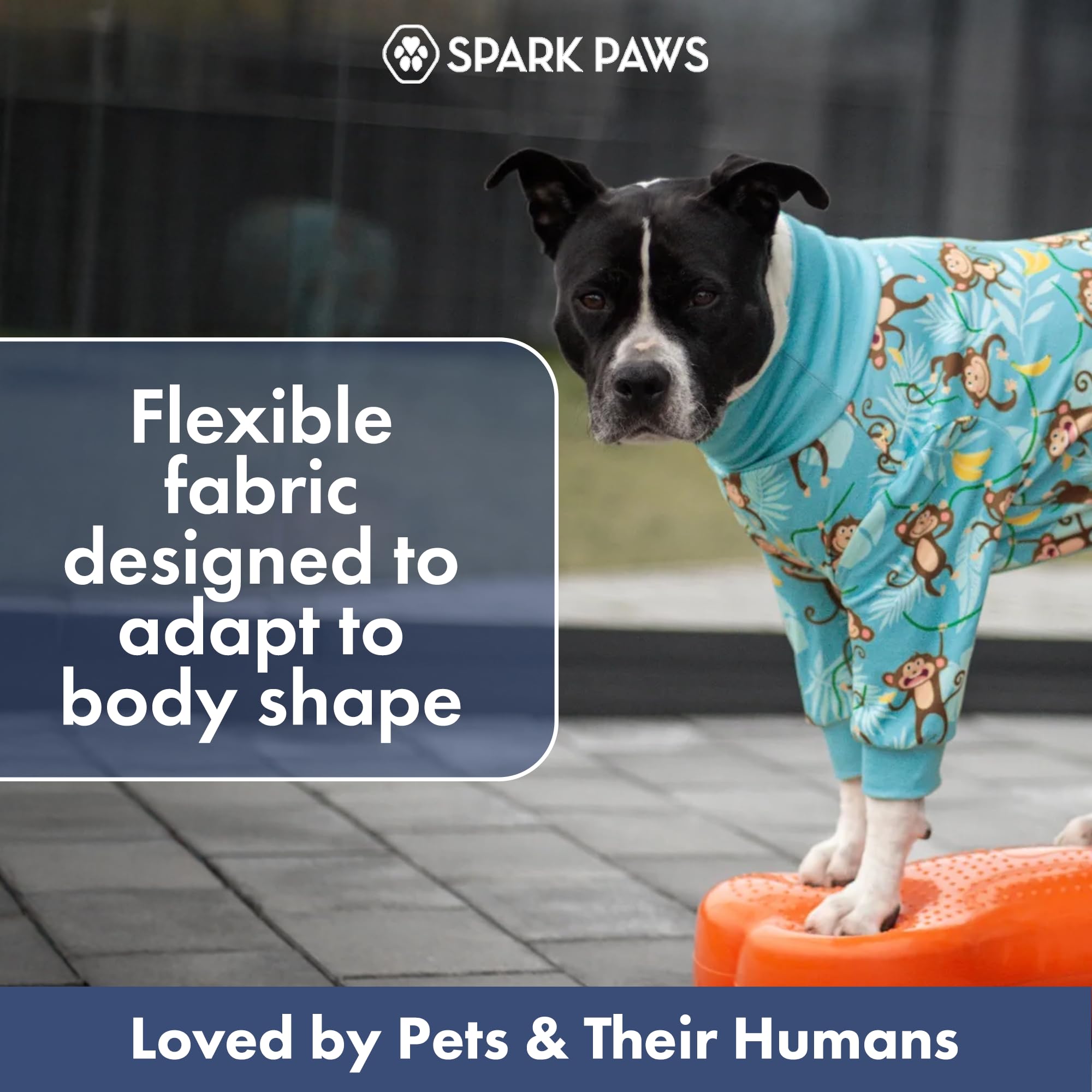 Spark Paws détail des coutures renforcées pour durabilité