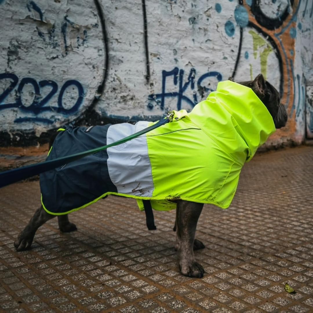 Spark Paws gros plan de la capuche et du col ajustable pour sécheresse
