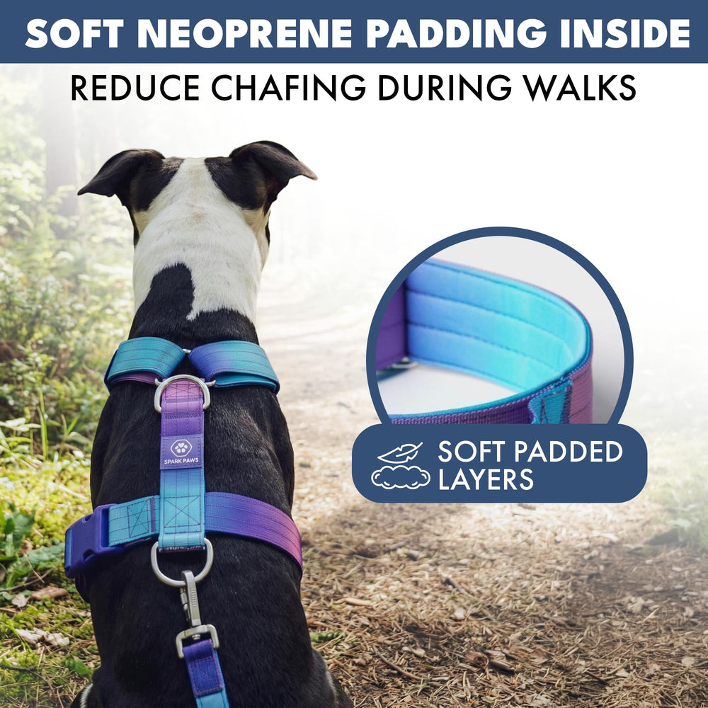 Spark Paws boucles à dégagement rapide robustes pour mise en place facile