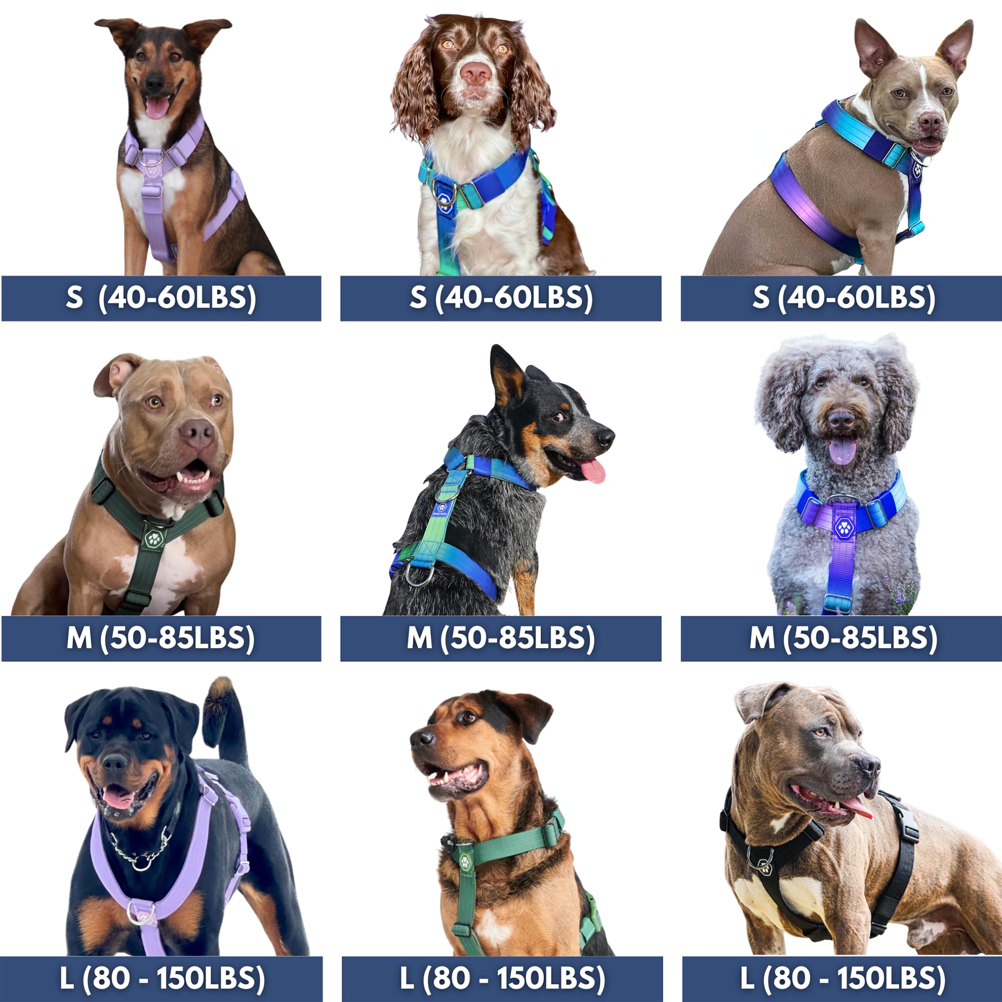 Spark Paws comparaison de tailles indiquant ajustement pour grandes races