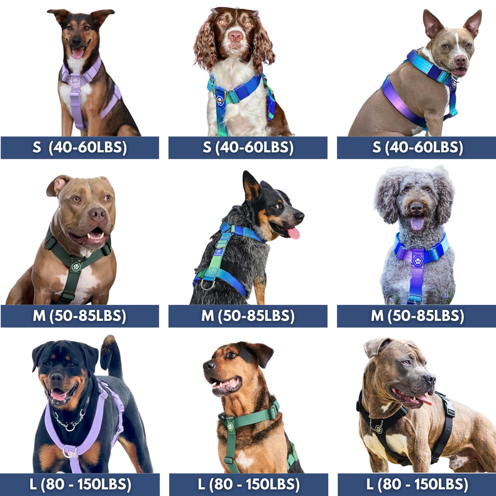 Spark Paws comparaison de tailles indiquant ajustement pour grandes races