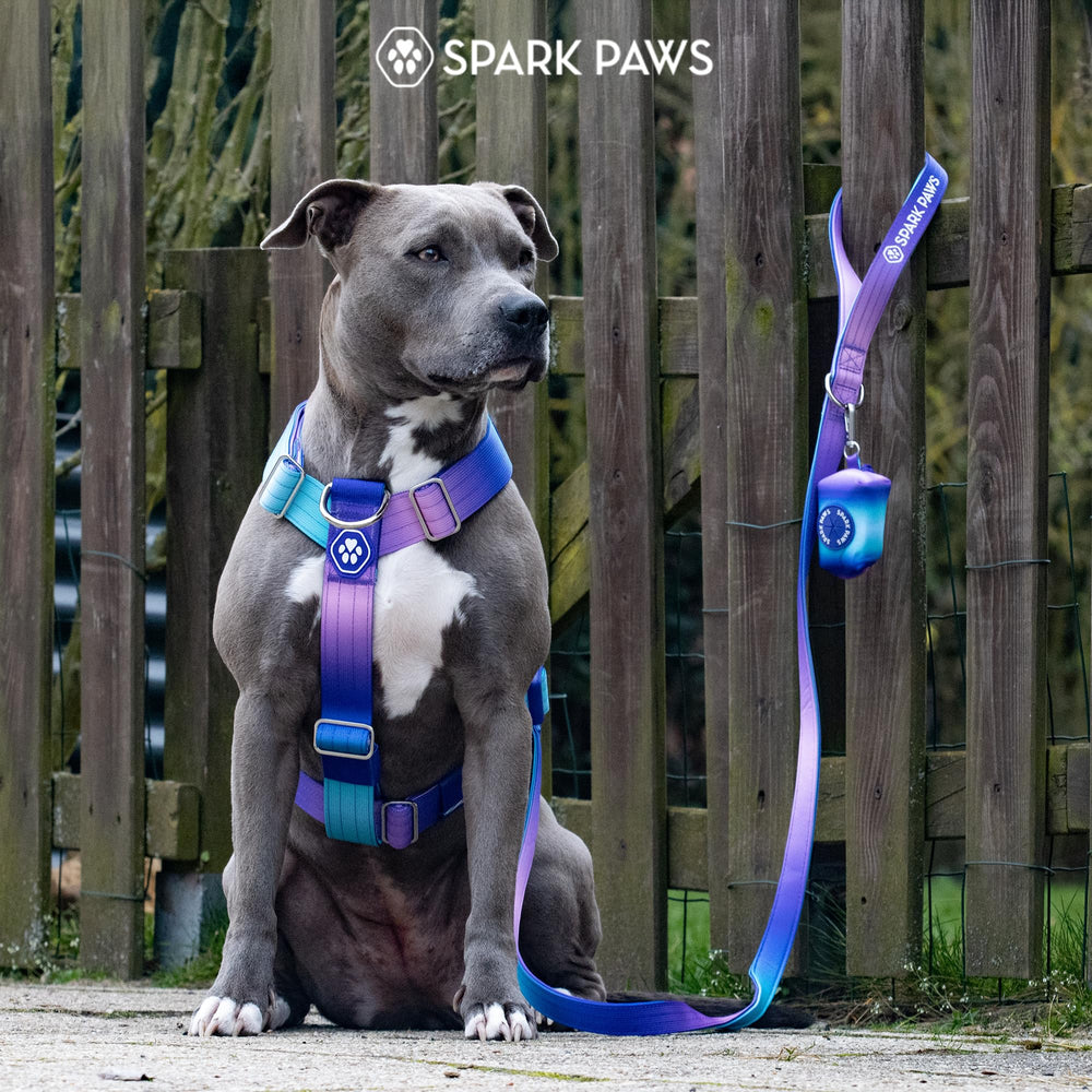 Spark Paws texture nylon heavy duty montrant résistance à l'abrasion