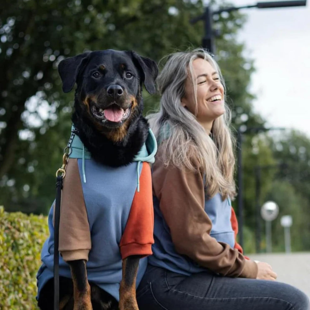 Spark Paws chien en promenade portant le hoodie pour liberté de mouvement