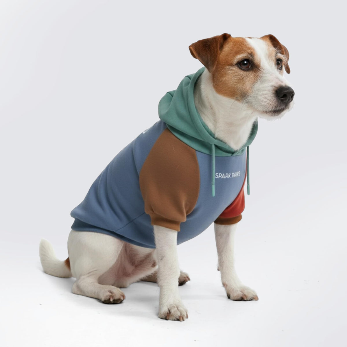 Spark Paws face avant du hoodie montrant coupe et style confortable