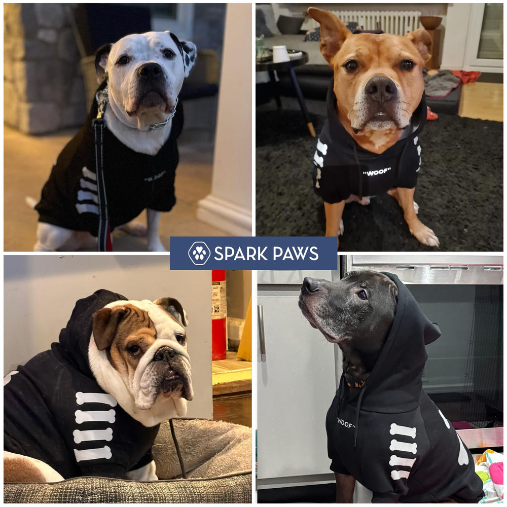 Spark Paws intérieur polaire doux apportant chaleur apaisante sans encombrement