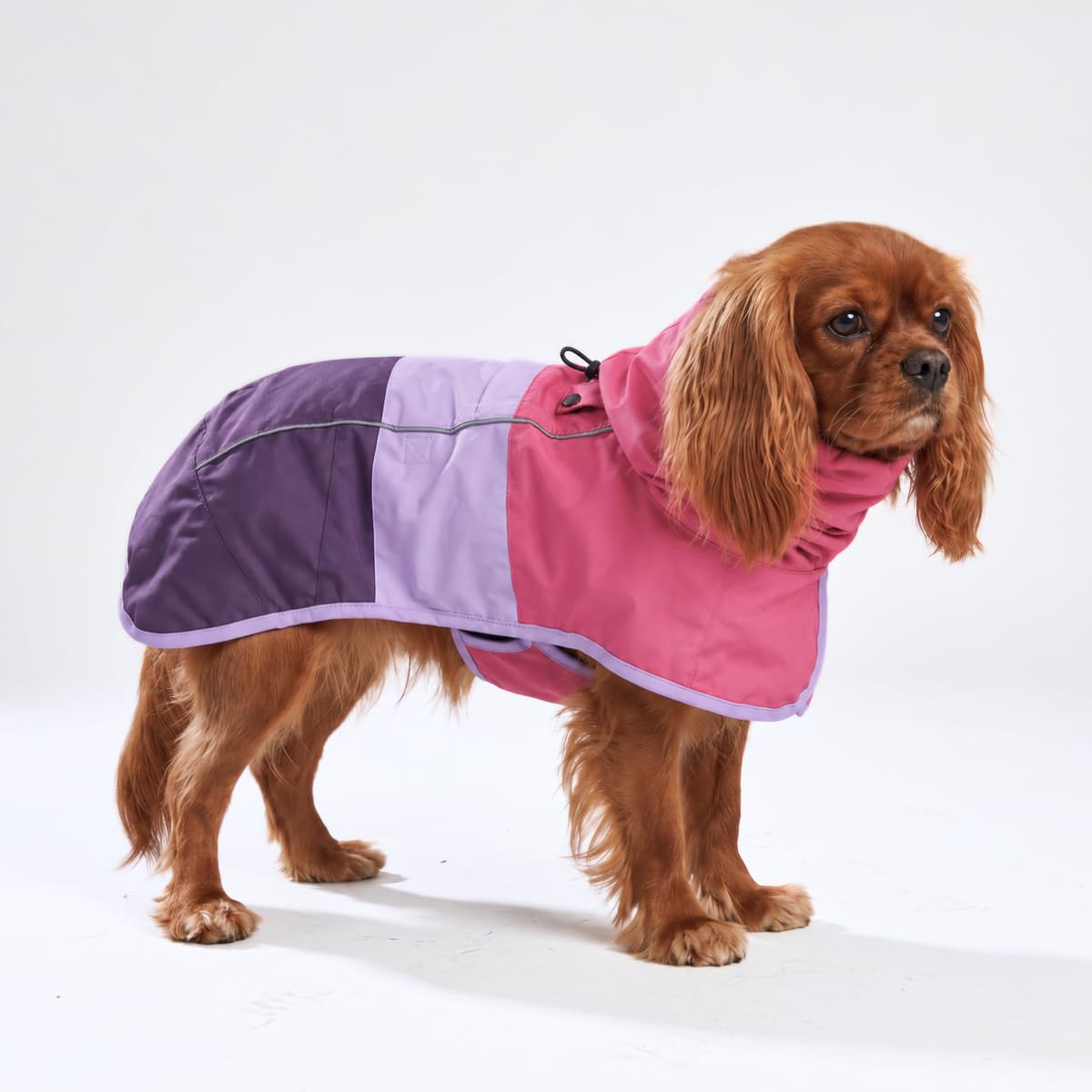 Spark Paws veste de pluie vue de face avec capuche protège efficacement