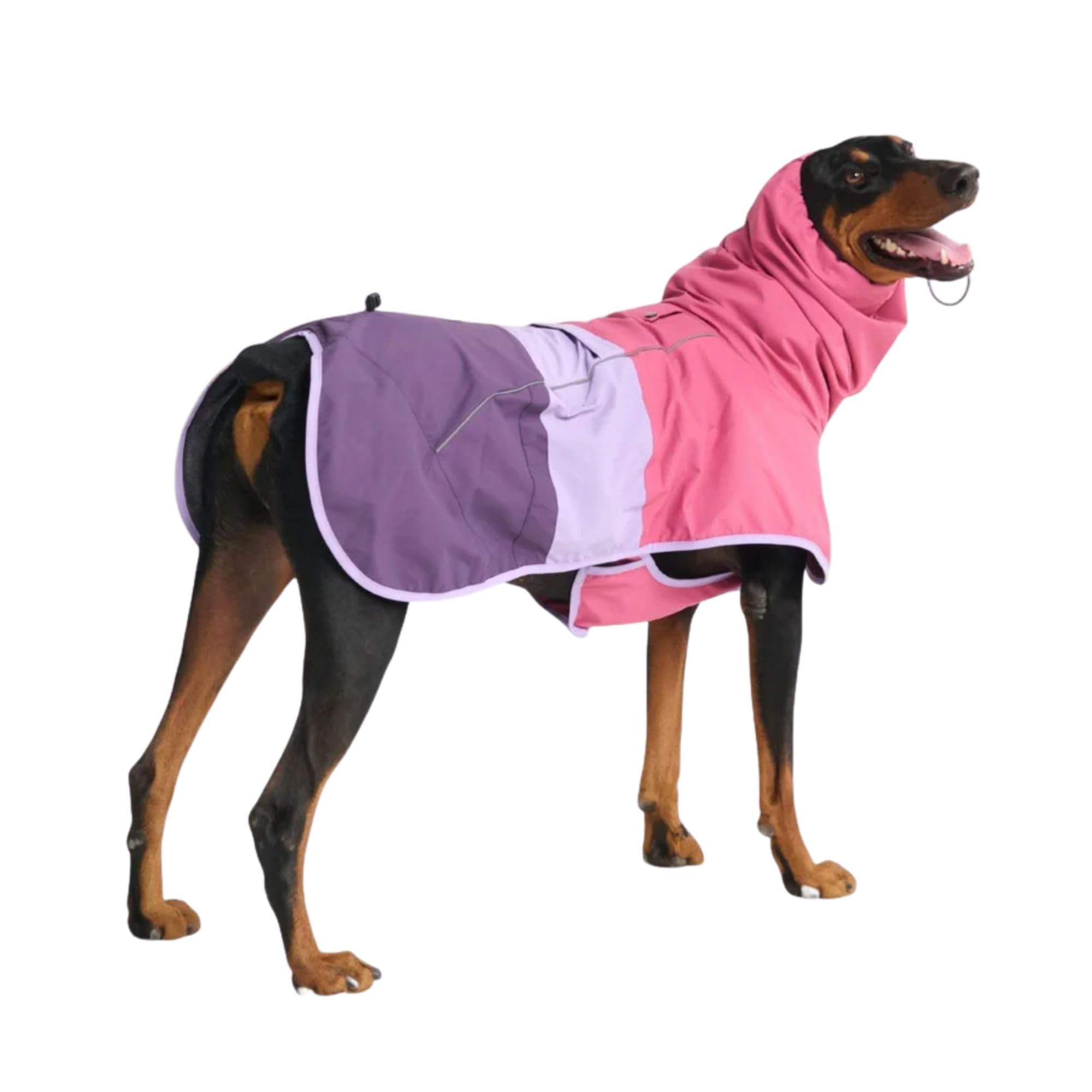 Spark Paws manteau face entière protégeant le corps du chien