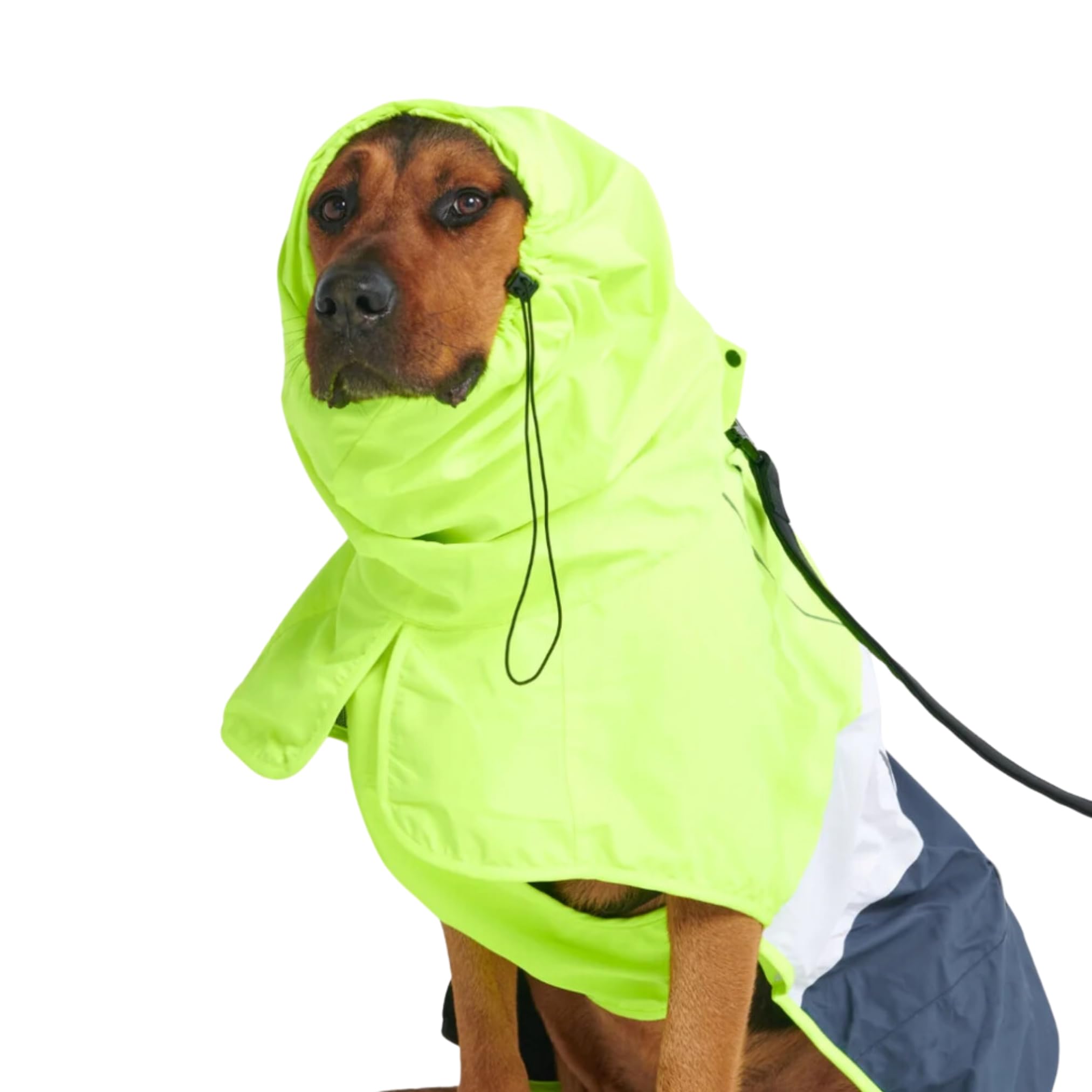Spark Paws manteau de face montrant couverture totale et imperméabilité