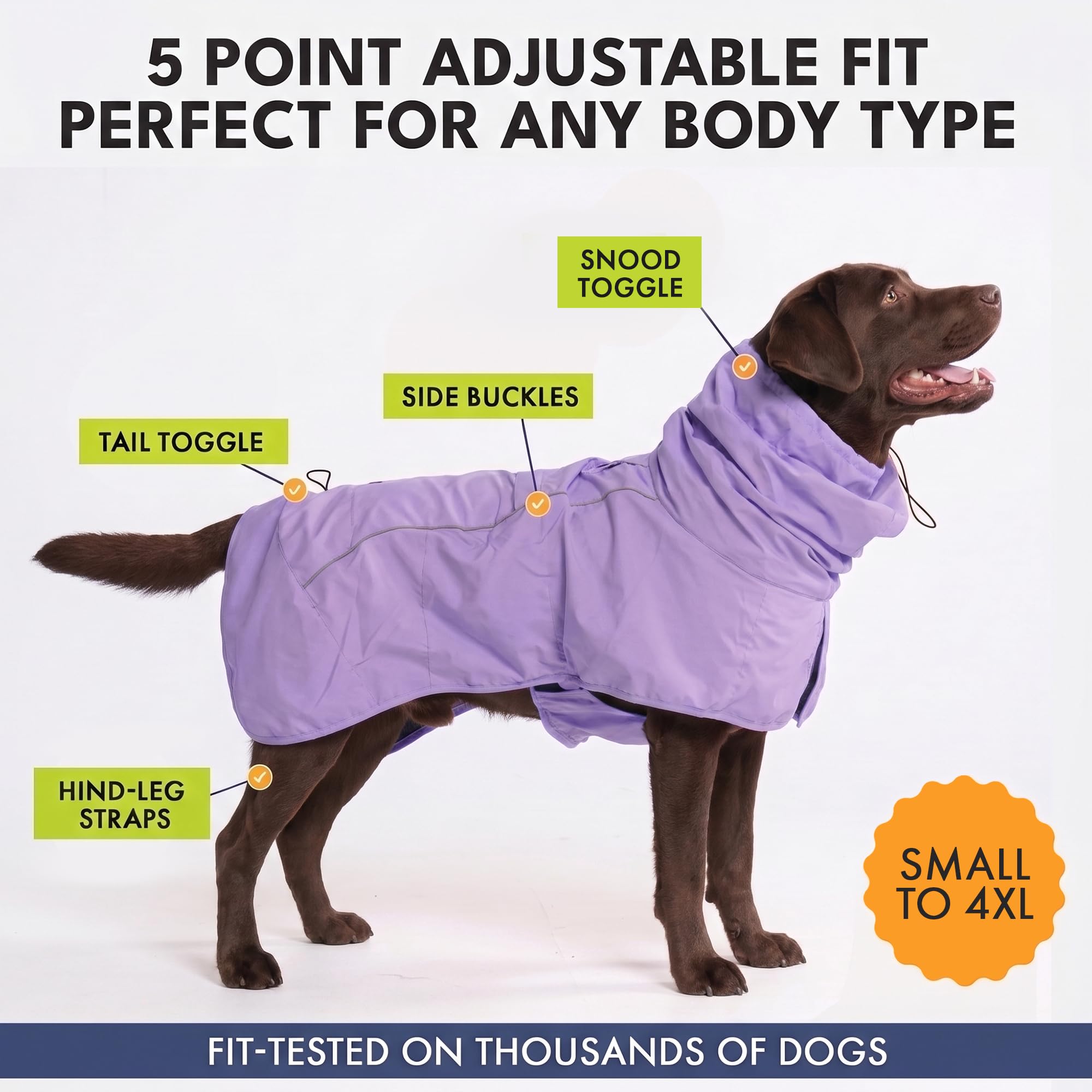 Spark Paws en promenade sous la pluie montrant protection complète