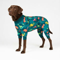 Spark Paws vue avant du pyjama montrant l'ajustement confortable