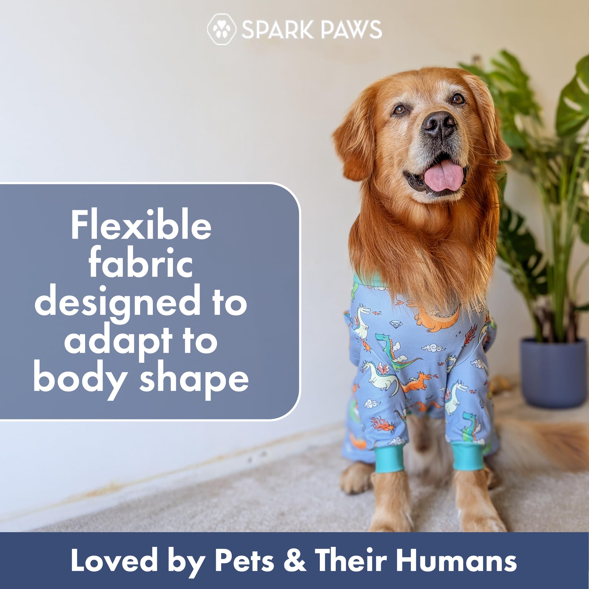 Comparaison tailles Spark Paws montrant choix adapté pour toutes races