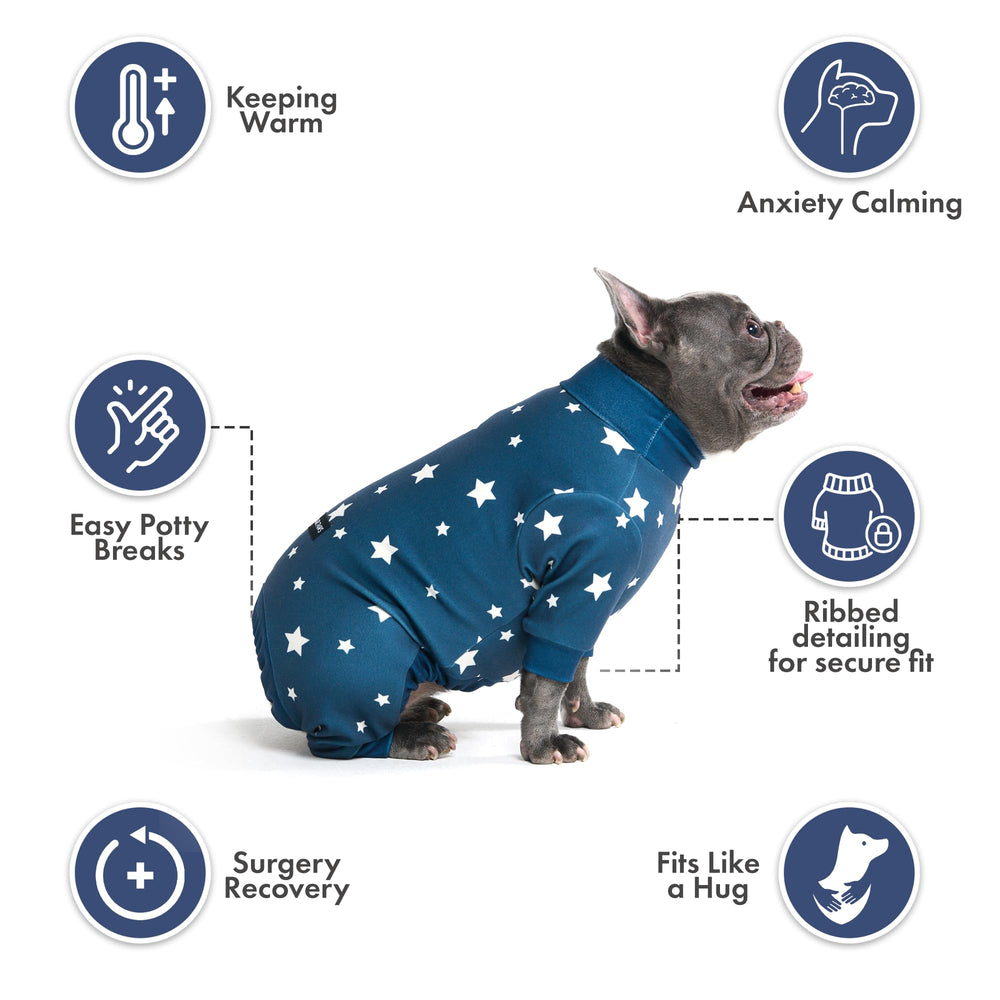 Spark Paws chien en pyjama pendant une courte promenade facilitée par la coupe