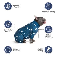 Spark Paws chien en pyjama pendant une courte promenade facilitée par la coupe