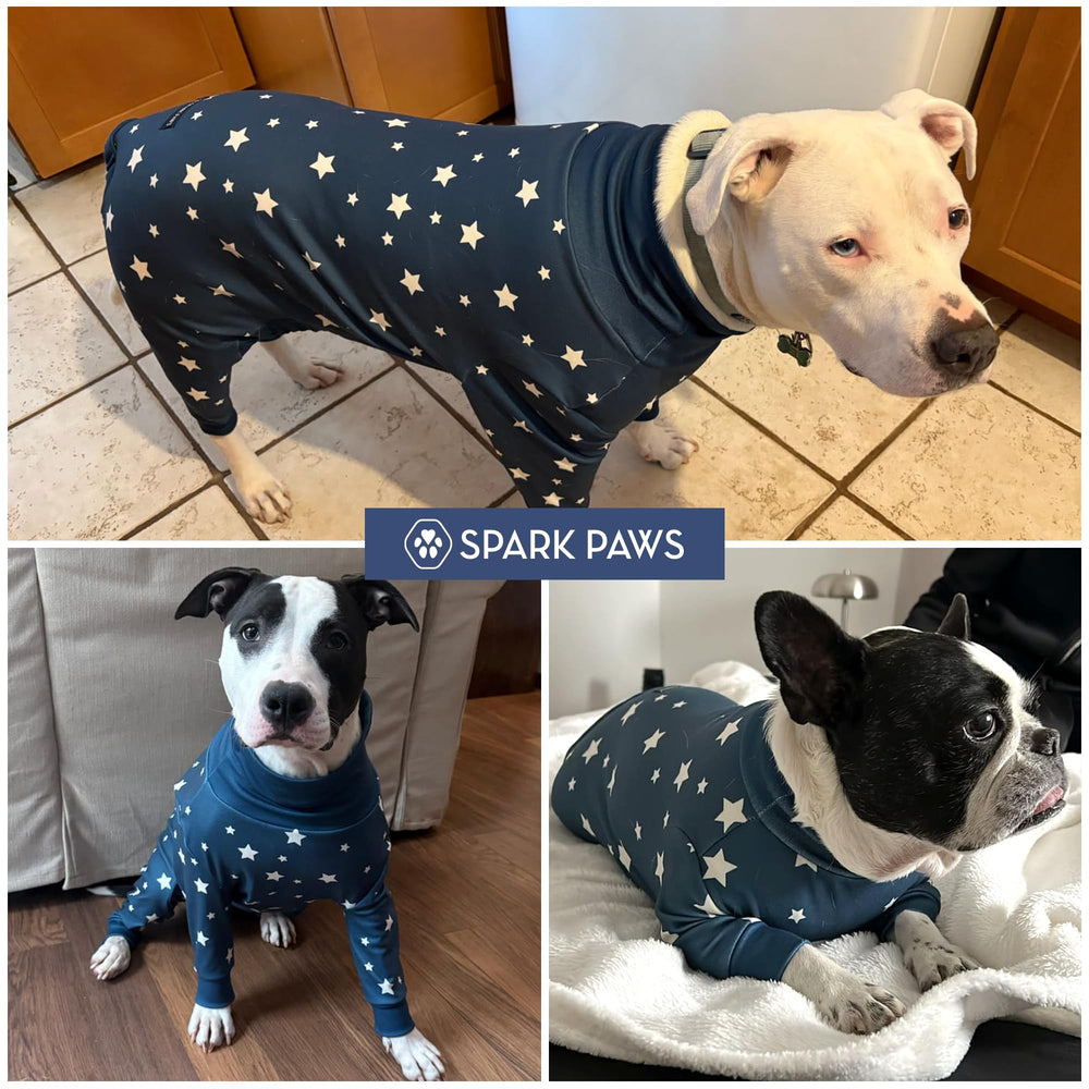 Spark Paws mise en situation sur canapé pour confort quotidien