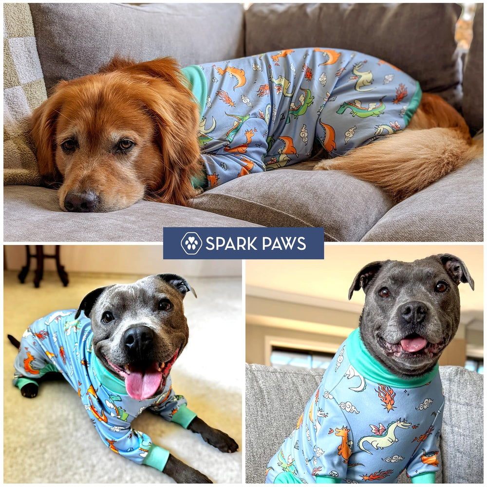 Chien détendu portant Spark Paws pour nuit ou voyage confortable