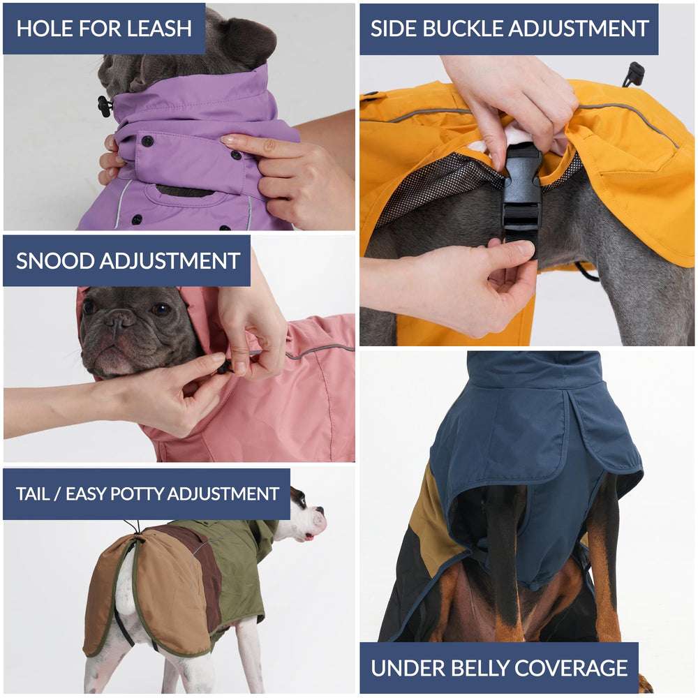 Spark Paws ouverture arrière réglable facilitant les pauses toilette