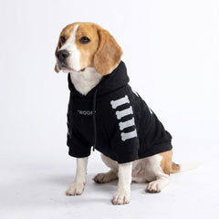 Spark Paws sweat face montrant coupe et style, maintien confortable