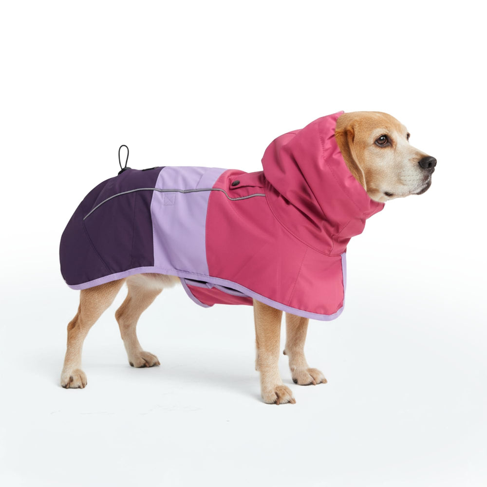 Spark Paws vue avant montrant protection complète et confort