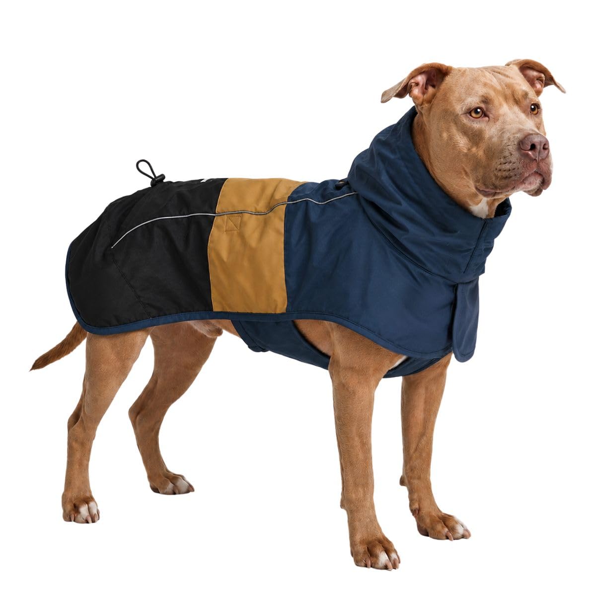Spark Paws vue avant présentant la protection intégrale et imperméabilité