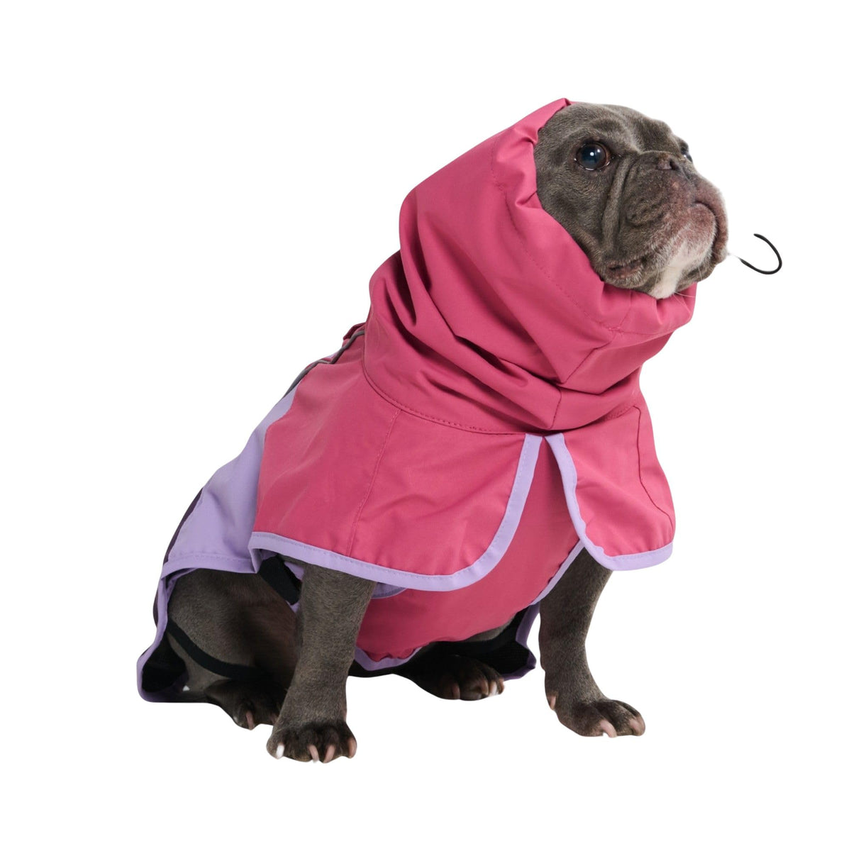 Spark Paws vue face de la veste imperméable montrant couverture totale et protection