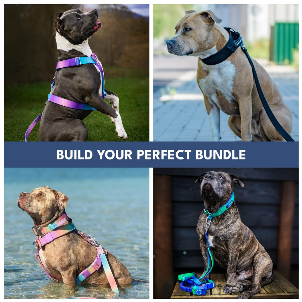 Spark Paws clip ceinture auto fixé au récepteur pour trajets plus sûrs