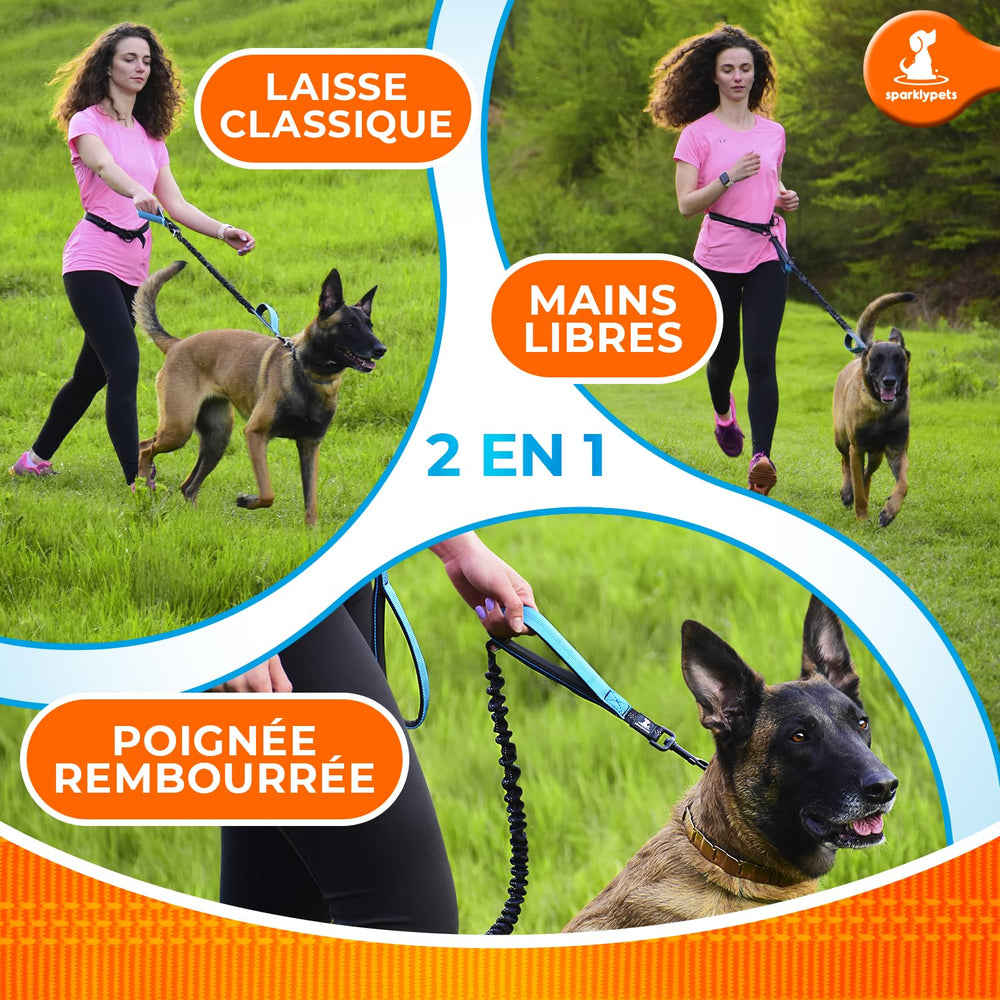 SparklyPets comparaison taille ceinture montrant ajustement pour grandes races