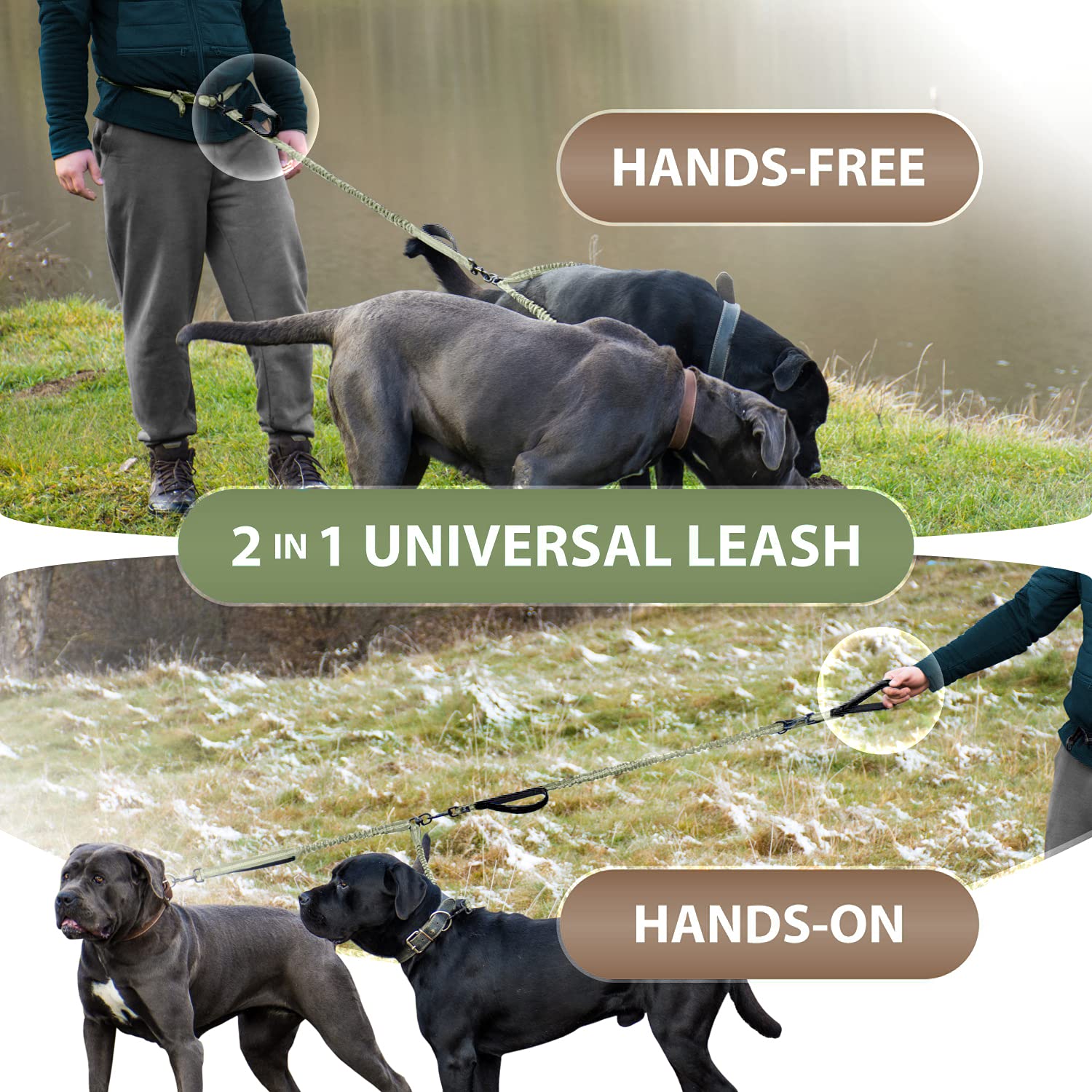 SparklyPets laisse mains libres en usage durant jogging montrant liberté de mouvement