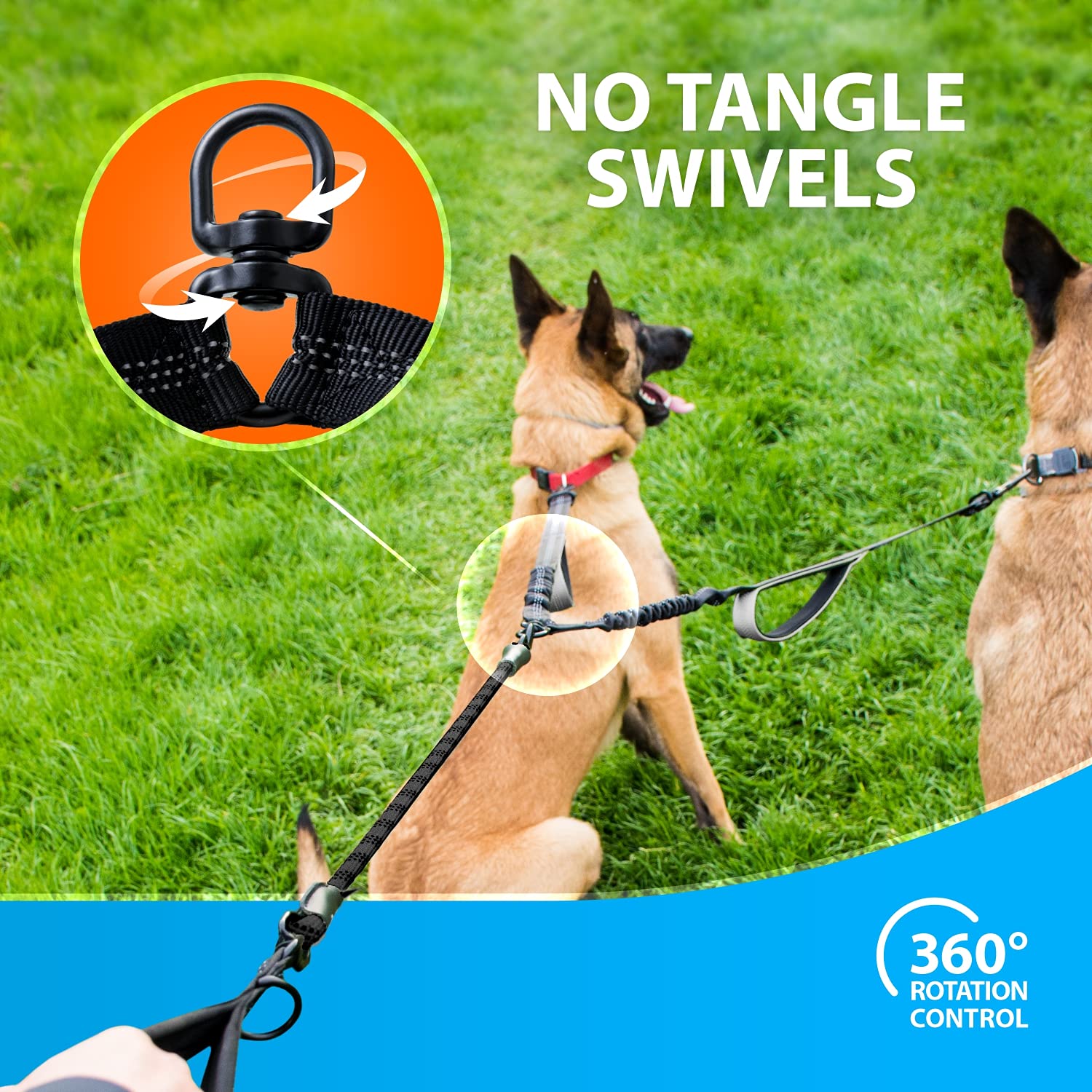 SparklyPets gros plan sur bungee renforcé, absorption des chocs assurée