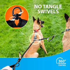 SparklyPets gros plan sur bungee renforcé, absorption des chocs assurée